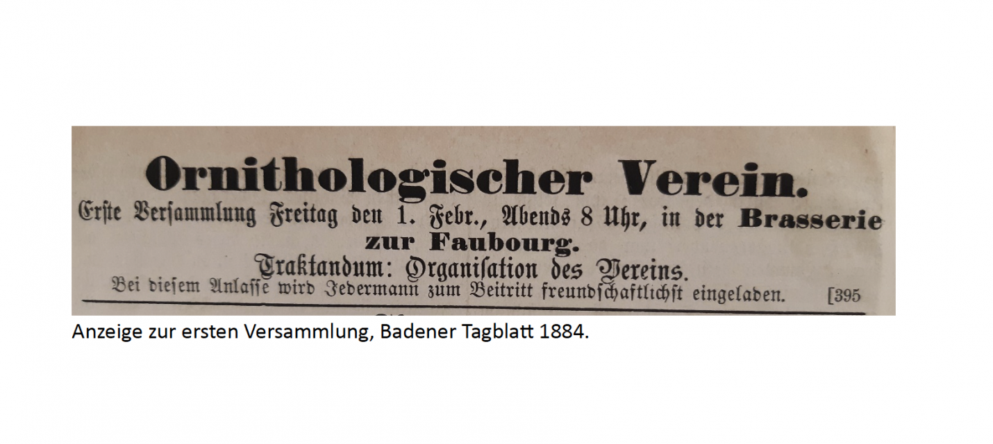 Anzeige im Badener Tagblatt 1884